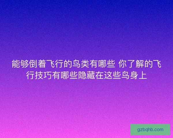 能够倒着飞行的鸟类有哪些 你了解的飞行技巧有哪些隐藏在这些鸟身上