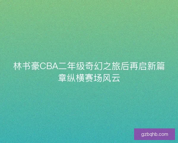林书豪CBA二年级奇幻之旅后再启新篇章纵横赛场风云