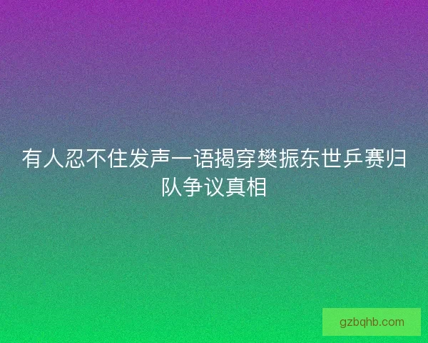 有人忍不住发声一语揭穿樊振东世乒赛归队争议真相